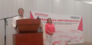 Con los cientos de espectaculares en Veracruz se garantizaría abasto de medicinas y reparación de carreteras: