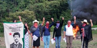 Mujeres autodefensas están siendo hostigadas en Oaxaca .