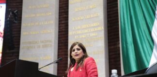 Diputada urge protección a periodistas en todo el territorio nacional .