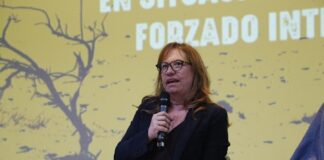 México, a tiempo para evitar crisis por desplazamiento forzado: Relatora de la ONU .