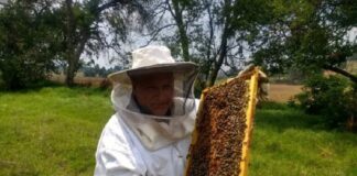 Asesinatos de investigadores universitarios encienden alerta sobre amenazas contra defensores en México .