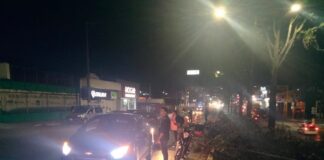 Xalapeños hacen sentir su alto grado de conciencia ecológica .