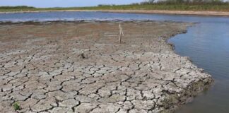 Veracruz y la sequía