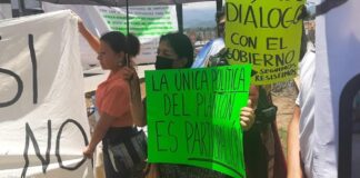 Ambientalistas acusan de desacato al gobierno de Veracruz ,