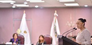 Proteger de la violencia a adultos mayores, pide Diputada .