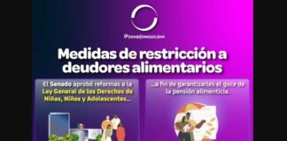 Registro de deudores alimentarios deberá operar en marzo de 2024, señala estudio del IBD