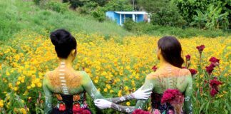 La fridomanía, ahora es más radical y extendida .