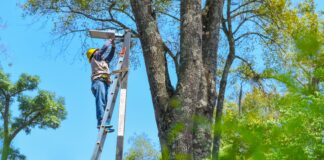 Tendrán mejor iluminación 30 calles del Centro Histórico .