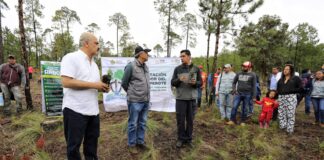 Asiste Ricardo Ahued a jornada de reforestación.