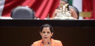 Proponen acotar a dos meses periodo para aplicar penas a deudor alimentario.