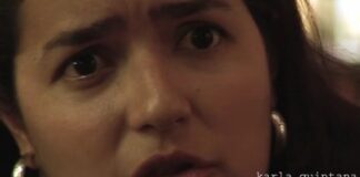 Renuncia de comisionada de búsqueda Karla Quintana fue por presiones de SEGOB .