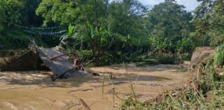 Colapsan puentes en Veracruz y dejan incomunicadas a localidades