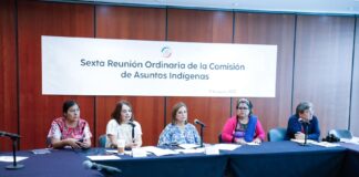 Se comprometen en el Senado a fortalecer defensa de derechos de pueblos indígenas .