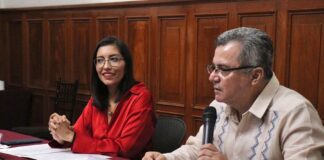 Gobierno de Veracruz celebrará “avances” en materia de igualdad de género .