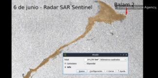 Mancha de la muerte en el Golfo .