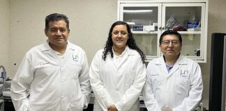 Egresada UV plantea uso de nanoprismas para detectar cáncer de mama .