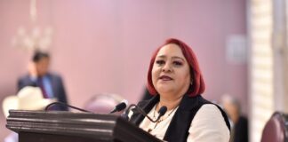 Llama Diputada a priorizar en la agenda pública las enfermedades del corazón .