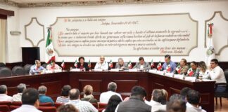 Gestiona Ayuntamiento de Xalapa bienestar animal .