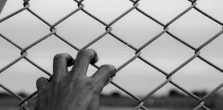 ONU anuncia visita para revisar detenciones arbitrarias en México .