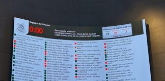 Senado designa a Celia Maya como nueva integrante del Consejo de la Judicatura Federal .