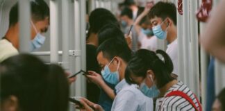 Información falsa y violencia cibernética, enemigos comunes de la humanidad .