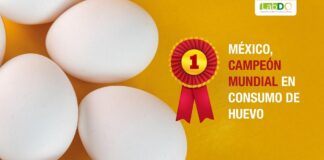 México, campeón mundial en consumo de huevo .
