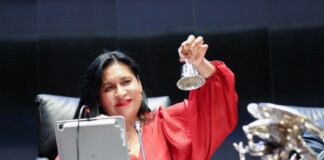 Listo el Senado en actualizar marco legal para desarrollar inteligencia artificial: Ana Lilia Rivera