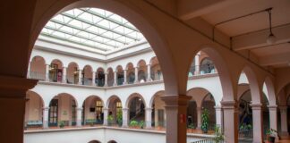 Emite Ayuntamiento de Xalapa licitación para adquisición de maquinaria y vehículos .