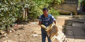 Realiza Ayuntamiento jornada de descacharrización en la colonia Zapata