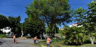 Ayuntamiento de Xalapa trabaja por un mejor medio ambiente