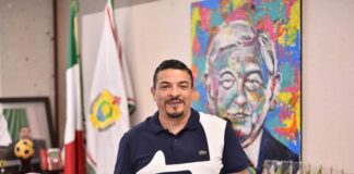 Interpreten mi silencio .