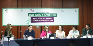 Despenalización del aborto en el país, reconocimiento a derechos de las mujeres: Mícher Camarena .