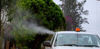 Realizan Estado y Municipio de Xalapa jornadas de nebulización contra el dengue .