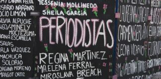 Necesario implementar plan transexenal para garantizar seguridad a periodistas y personas defensoras -.