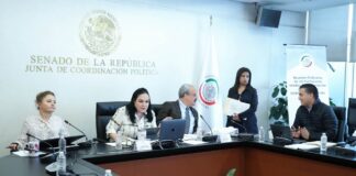 Avanza propuesta de CURP con fotos, datos y huellas dactilares .