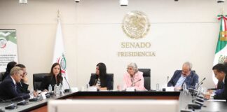 Avalan idoneidad de candidatas a magistradas de Sala Regional Especializada del TEPJF .