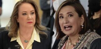 ¿Yasmín y Xóchitl plagiaron?