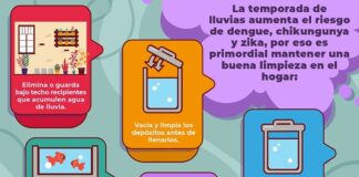 Pide IMSS Veracruz Sur no bajar la guardia ante dengue .