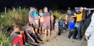 Aseguran a 123 migrantes hallados en una parcela luego de accidente.