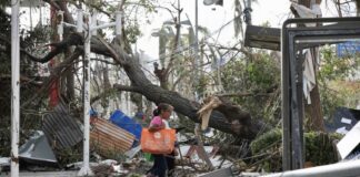 FIDEICOMISOS Y GASTOS EXCESIVOS DEL GOBIERNO