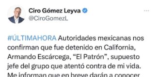 Detienen a ‘El Patrón’, jefe criminal que supuestamente atentó contra Ciro Gómez Leyva