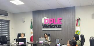 Asume Diputada cargo en Comisión para prevenir violencia contra mujeres