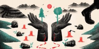 Personas que desaparecieron por defender el ambiente y el territorio en México .