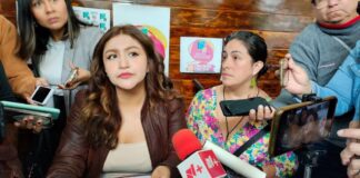 Denuncian intento de feminicidio y solo imputan una falta administrativa al agresor en Veracruz .