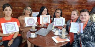 Tres mil 120 madres de familia han sido víctimas de violencia vicaria en México .