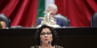 Piden castigar hasta con seis años de cárcel ciber violencia .