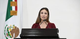 Más castigo a quien cometa estupro en menores de edad: Diana Laura Rodríguez Morales.