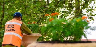 Día de Muertos en el Parque Juárez #Xalapa