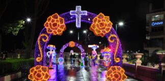 Xalapa se ilumina de Día de Muertos .