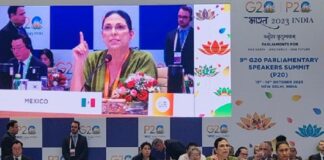 La paridad debe formar parte de los principios rectores del Estado: diputada Marcela Guerra Castillo